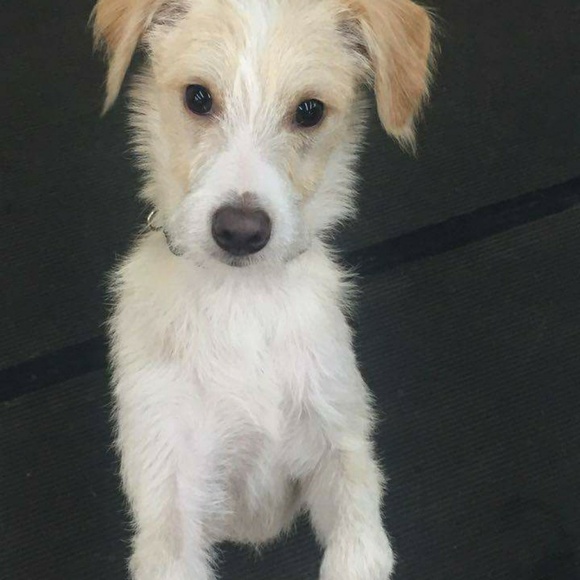 Meet your Posher, Erin - Picture 1 of 1